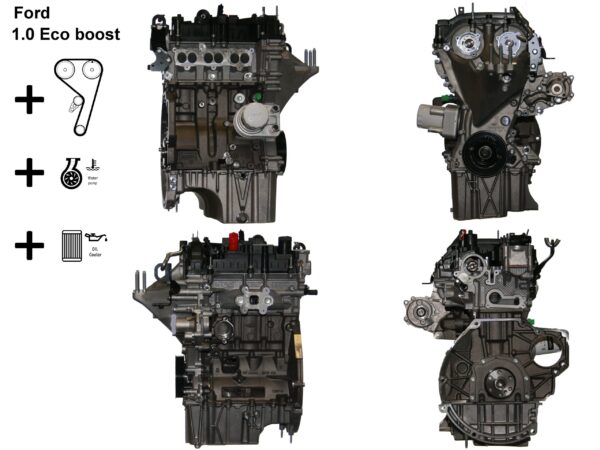 Ford Transit Connect 1.0 EcoBoost Moter M2GA 2024 100 HK  ny