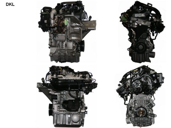 Skoda Kamiq 1.0 TFSI Moter DKL 2019 95 HK  brugt